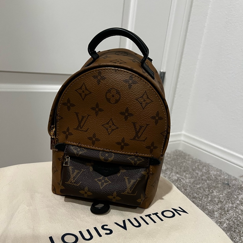 Louis Vuitton Palm Springs Mini Backpack - Picture 3 of 14